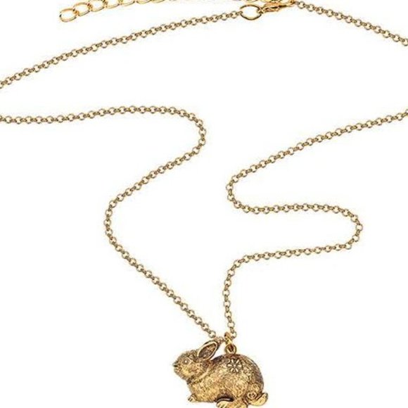 Bunny Rabbit Necklace - Copper Alloy Plated in Antique Gold - 17" chain - Picture 4 of 14
